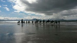 Beach rides on Banna Strand