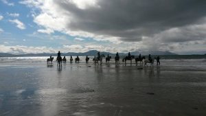 Beach rides on Banna Strand